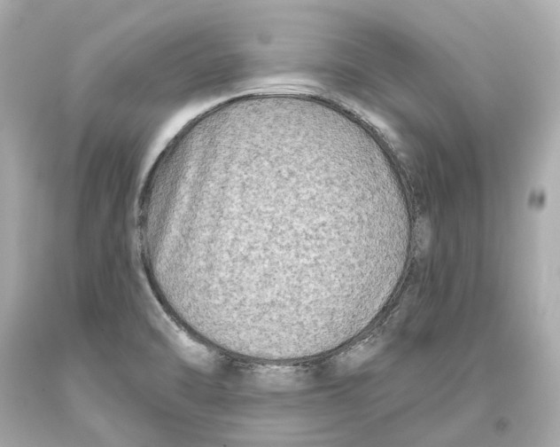 X0000093581470200711051108