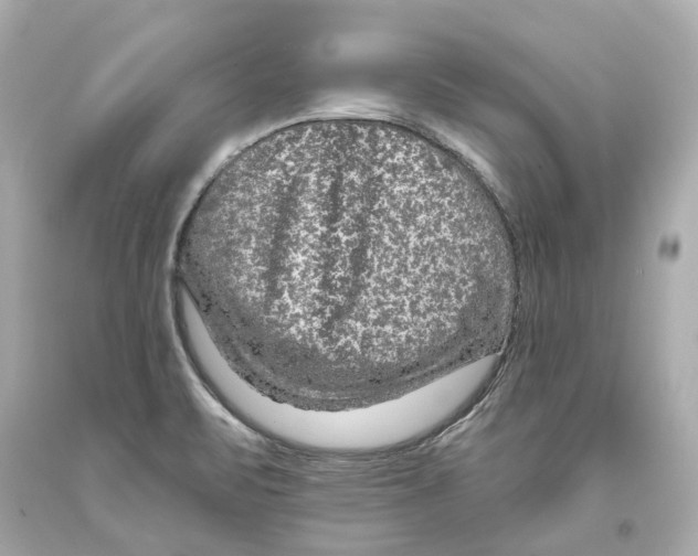 X0000093581471200711051108