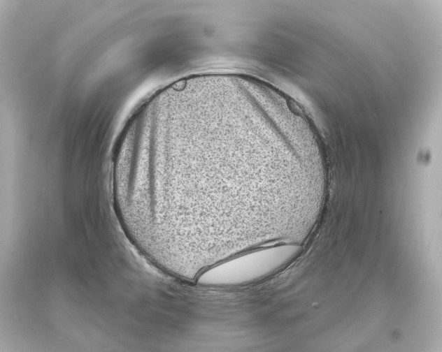 X0000093581472200711051108