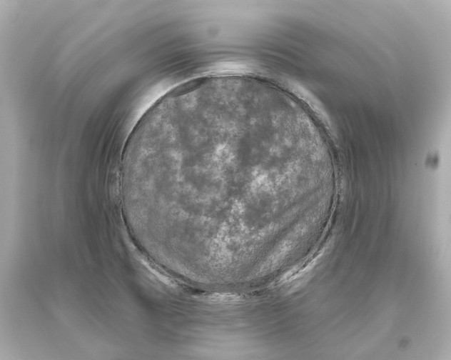 X0000093581473200711051108