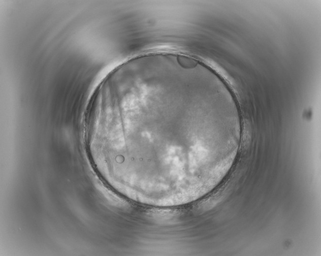 X0000093581474200711051108