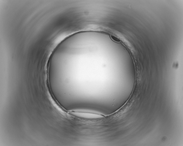 X0000093581479200711051108