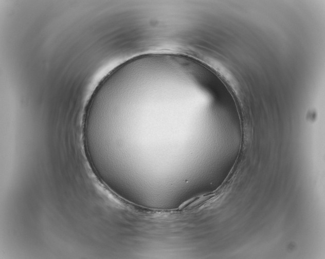 X0000093581480200711051108