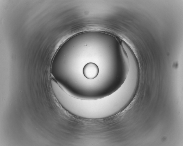 X0000093581481200711051108