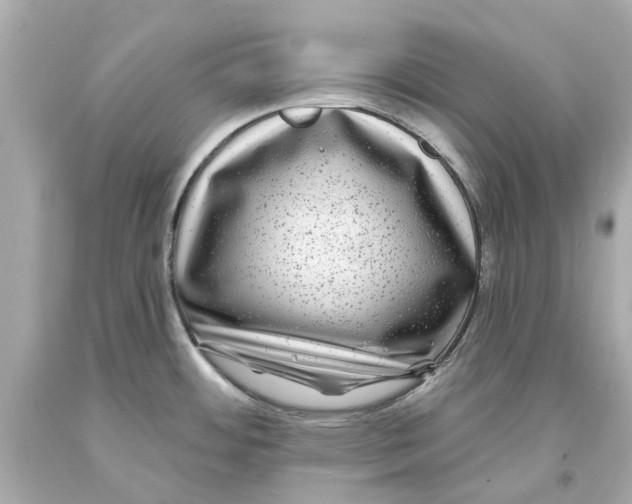 X0000093581484200711051108