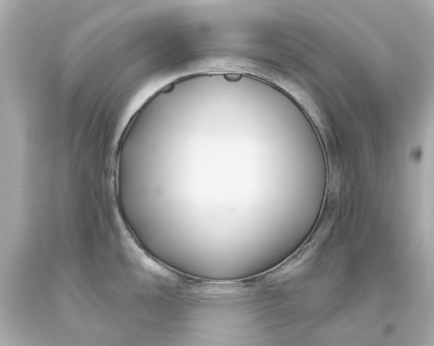 X0000093581486200711051108