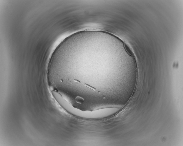 X0000093581488200711051108