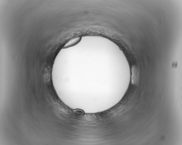 X0000093581491200711051107