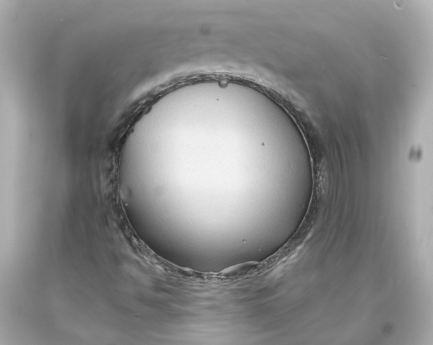 X0000093581494200711051107