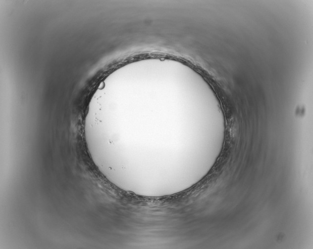 X0000093581495200711051107