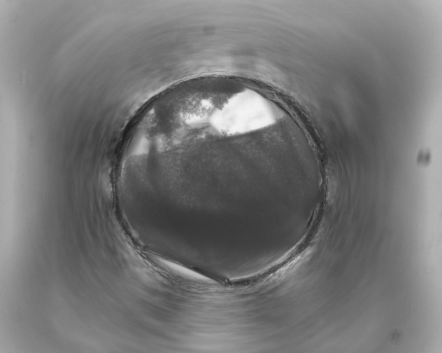 X0000093581497200711051107