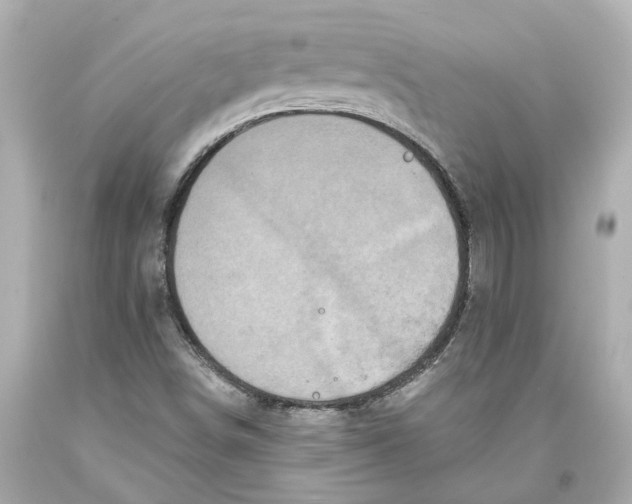 X0000093581498200711051107