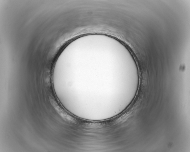 X0000093581499200711051107