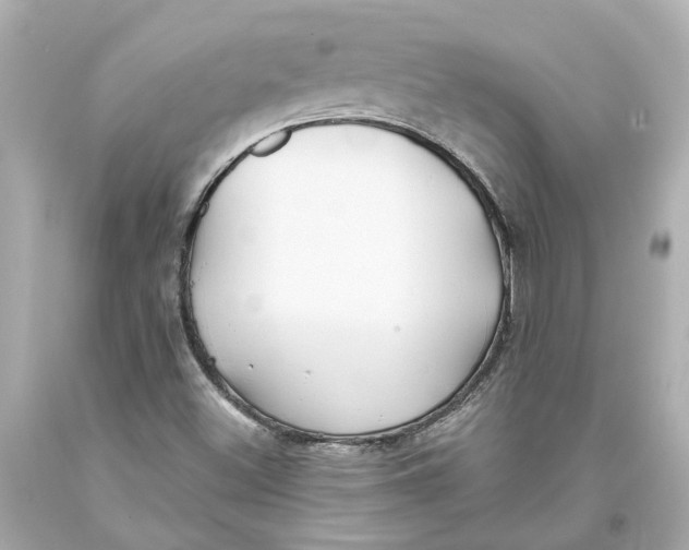 X0000093581500200711051107