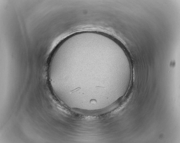 X0000093581501200711051107