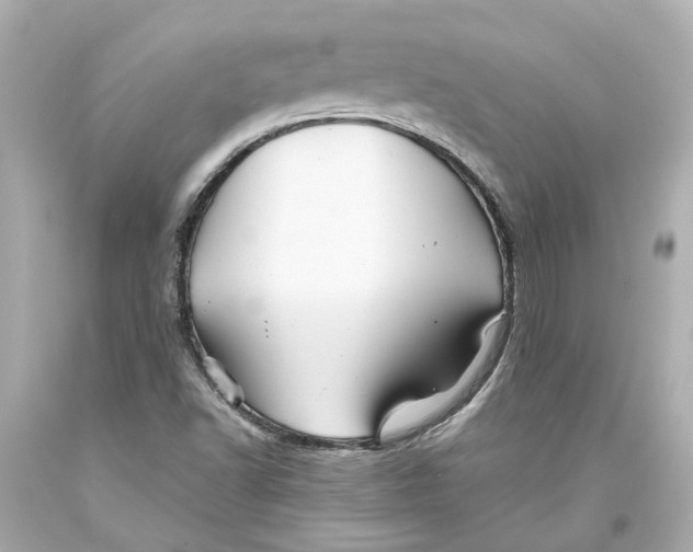 X0000093581502200711051107