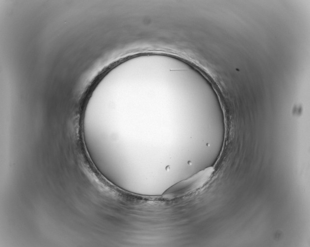 X0000093581503200711051107