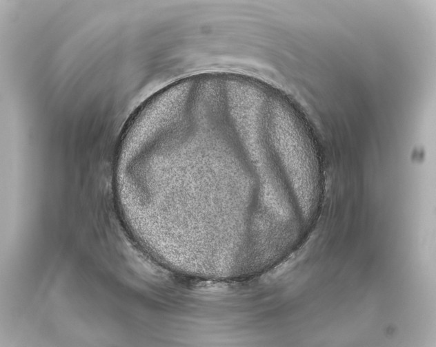 X0000093581505200711051107