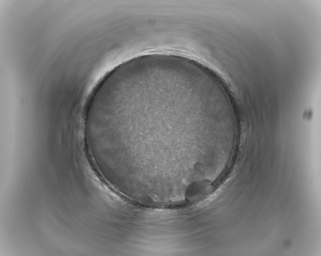 X0000093581506200711051107