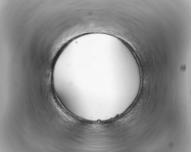 X0000093581507200711051107