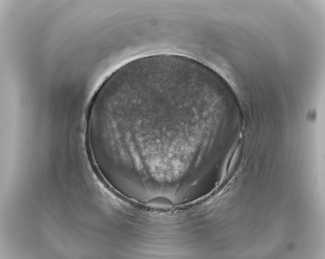 X0000093581508200711051107