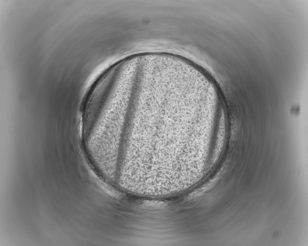 X0000093581509200711051107