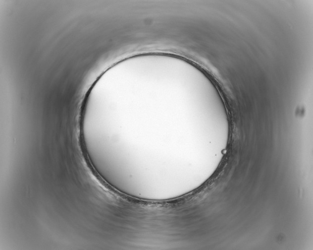 X0000093581512200711051107