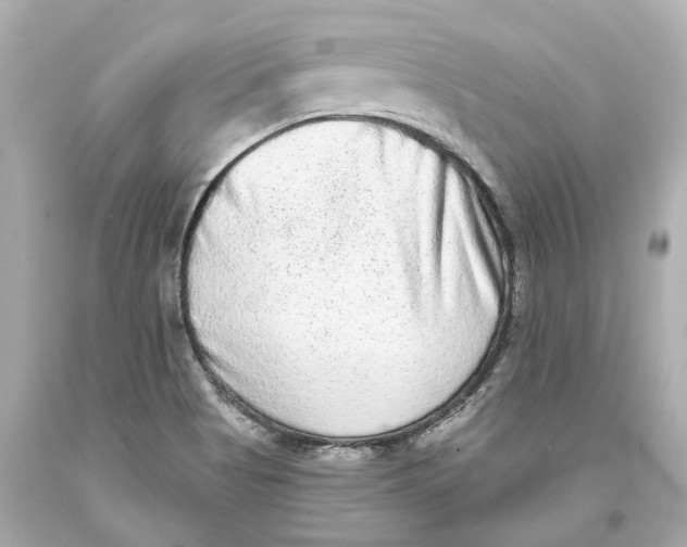 X0000093581513200711051107