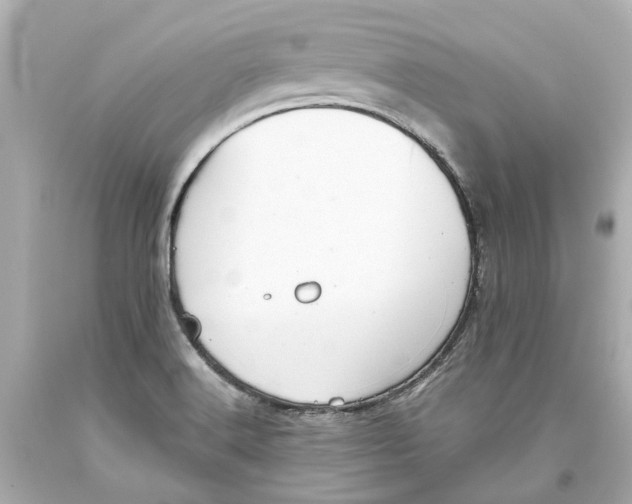 X0000093581516200711051107