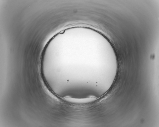 X0000093581518200711051107