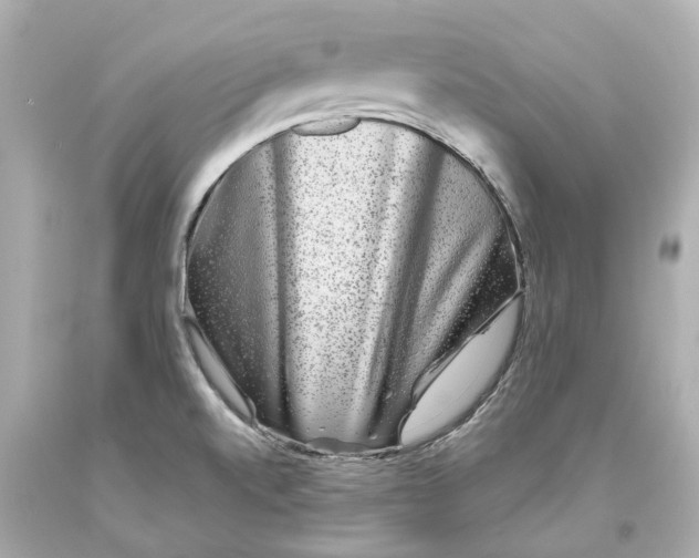 X0000093581520200711051107