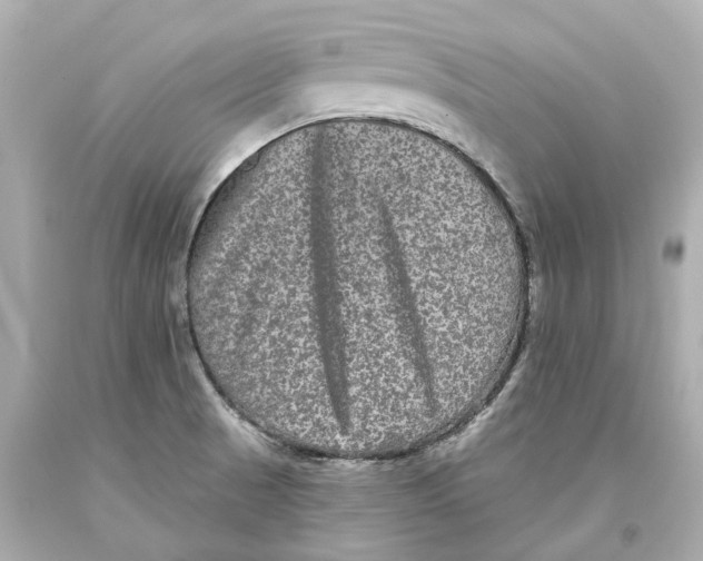 X0000093581521200711051107