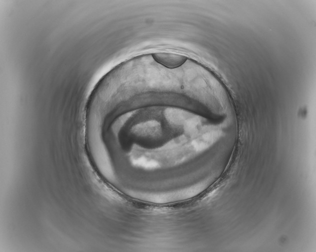 X0000093581522200711051107