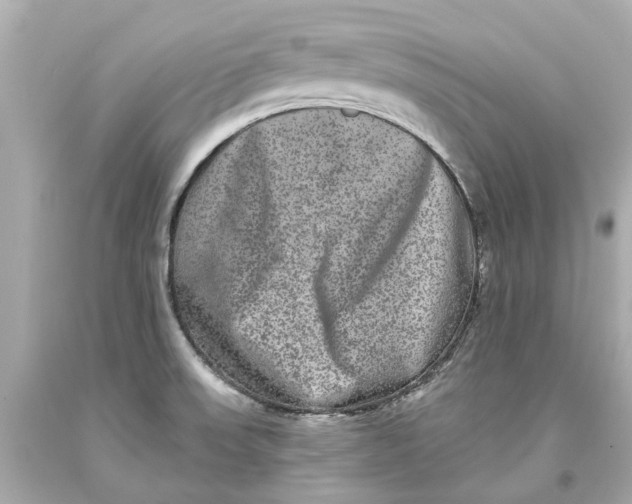 X0000093581523200711051107