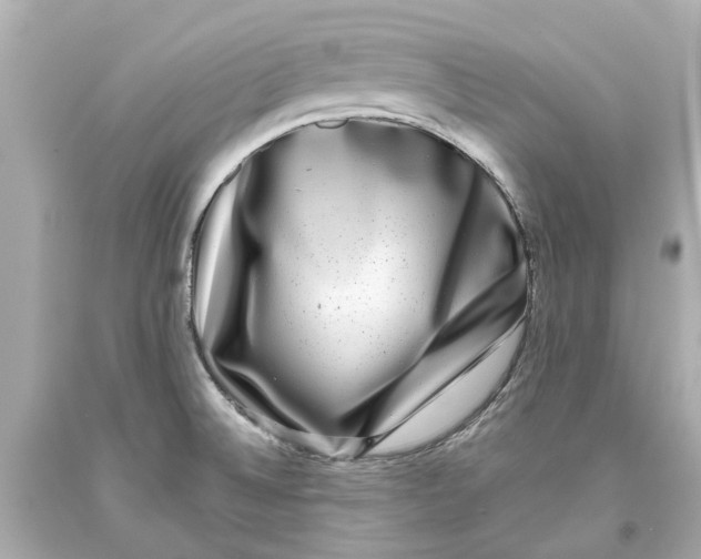 X0000093581524200711051107