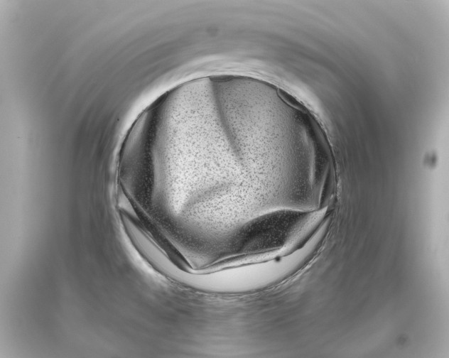 X0000093581528200711051108