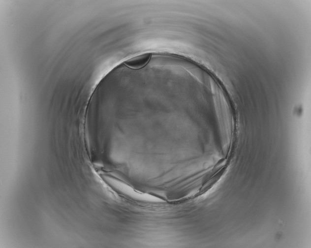 X0000093581529200711051108