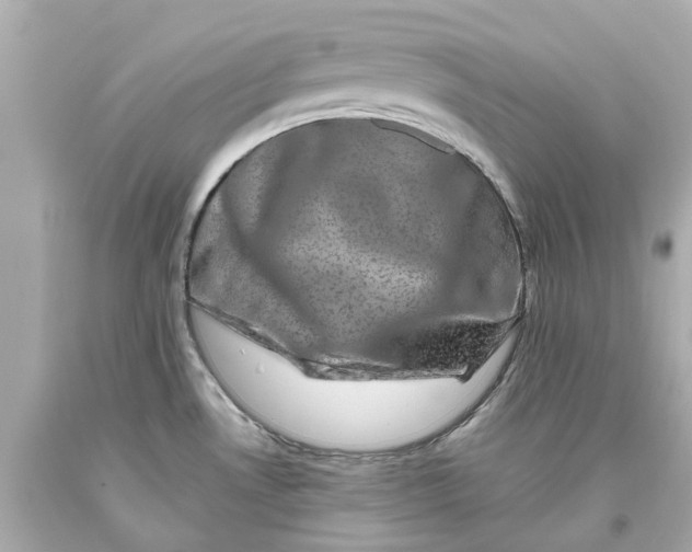 X0000093581530200711051108