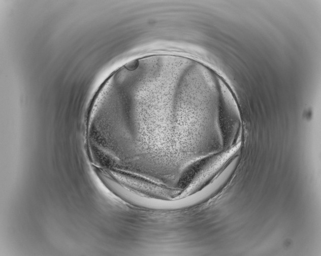 X0000093581531200711051108