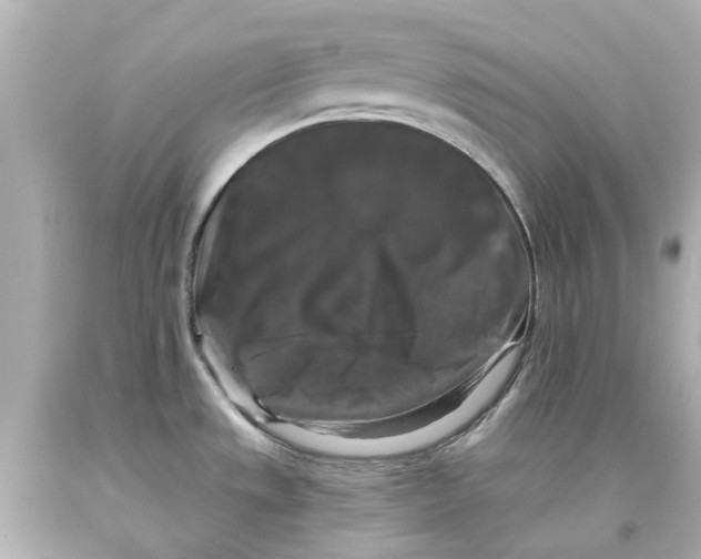 X0000093581533200711051108