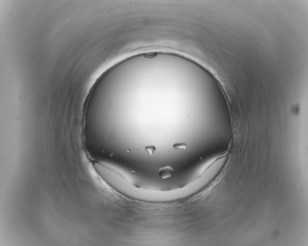 X0000093581534200711051108