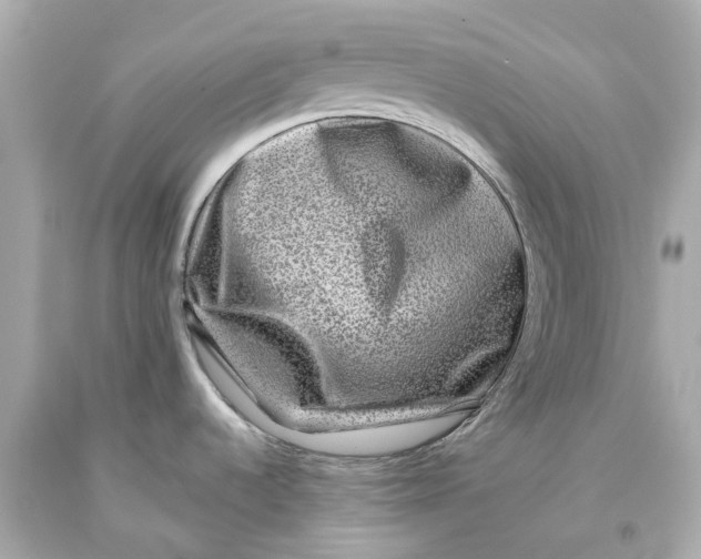 X0000093581536200711051108