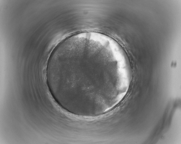 X0000093580002200711121112