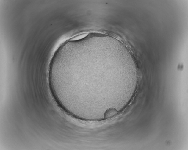 X0000093580006200711121112