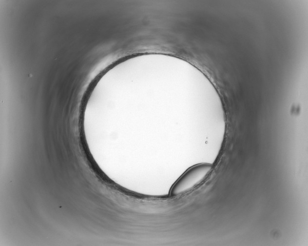 X0000093580008200711121112