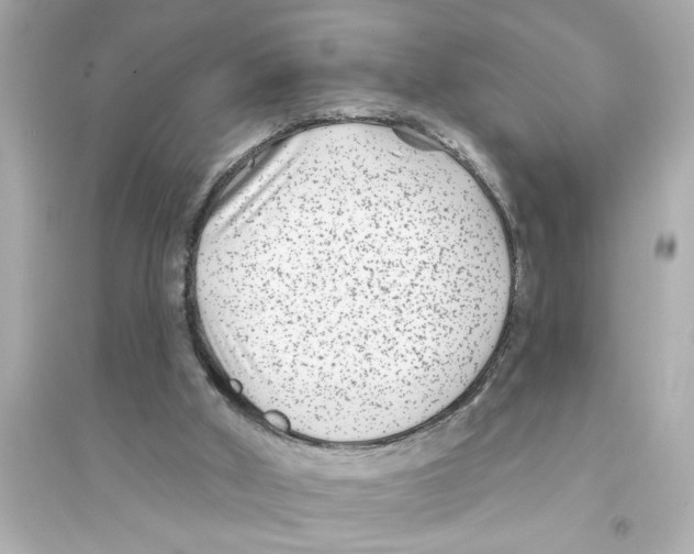 X0000093580010200711121112