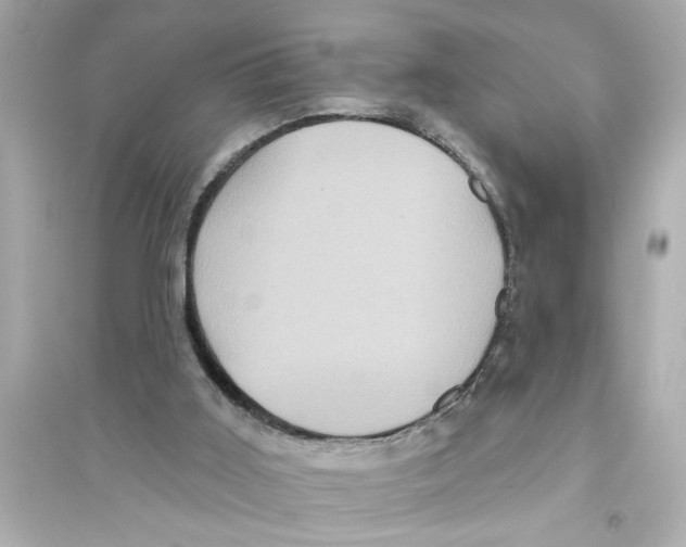 X0000093580011200711121112