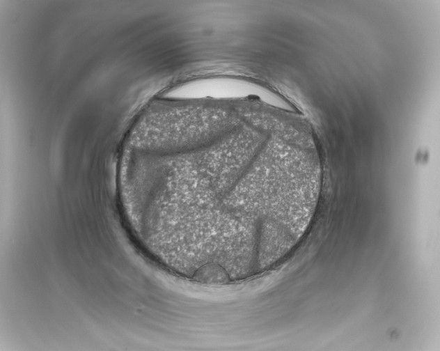 X0000093580014200711121112