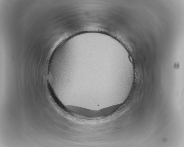 X0000093580015200711121112