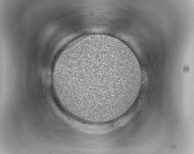 X0000093580016200711121112